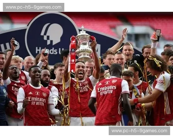 逆转、宿命与温布利的细雨：阿森纳vs维冈，那场关于尊严的终极博弈